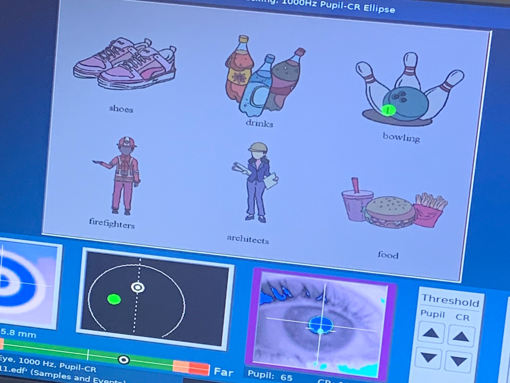 ProsMem1 Sample Trial